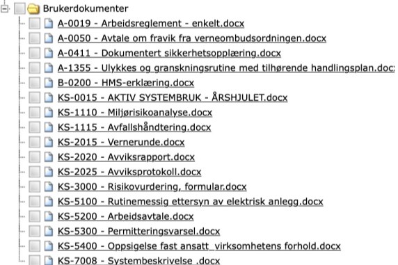 Aktiv systembruk Aktiv systembruk